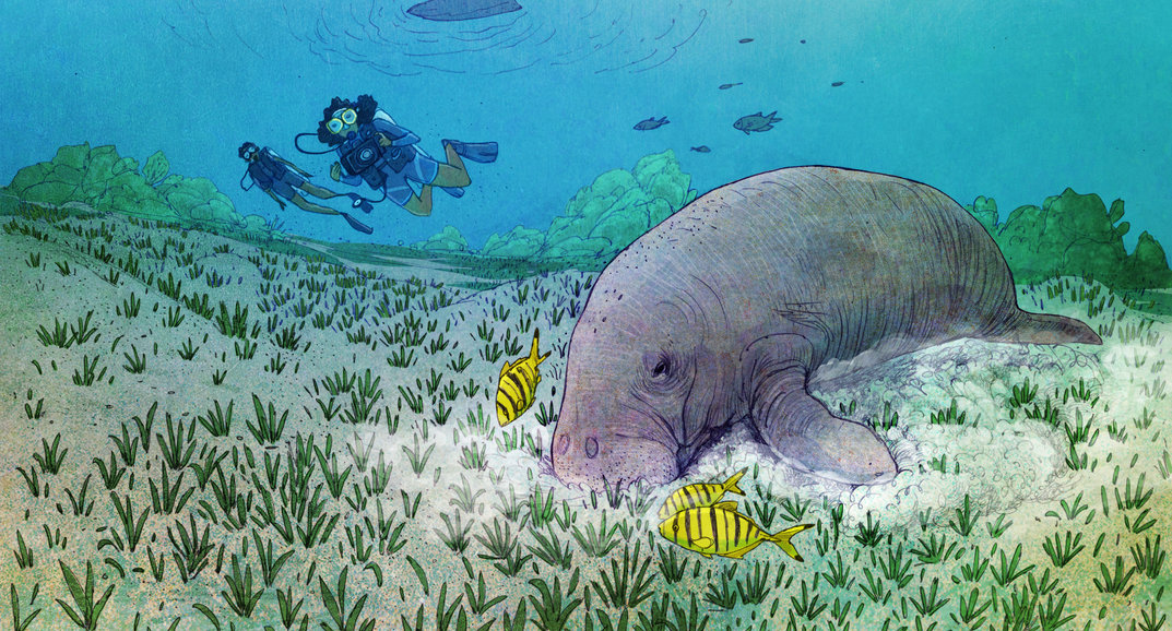 Dive