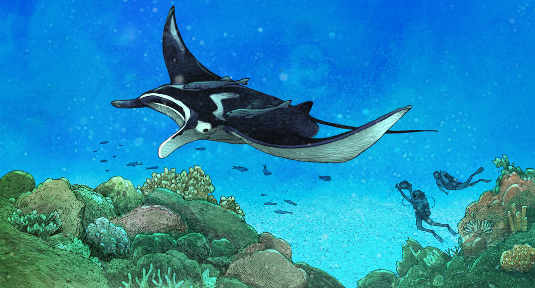 Dive