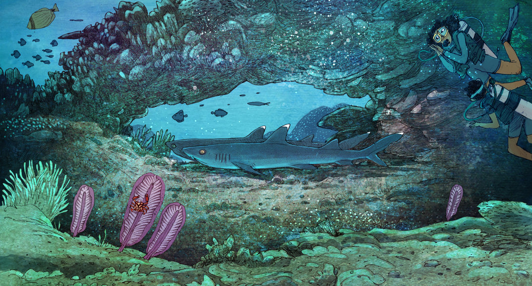 Dive