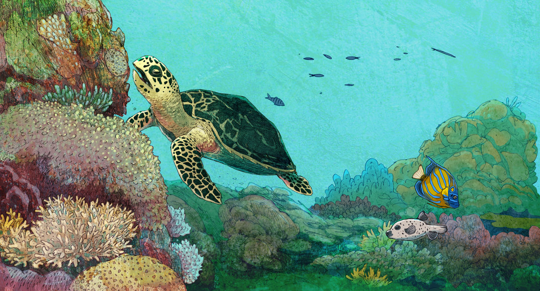 Dive