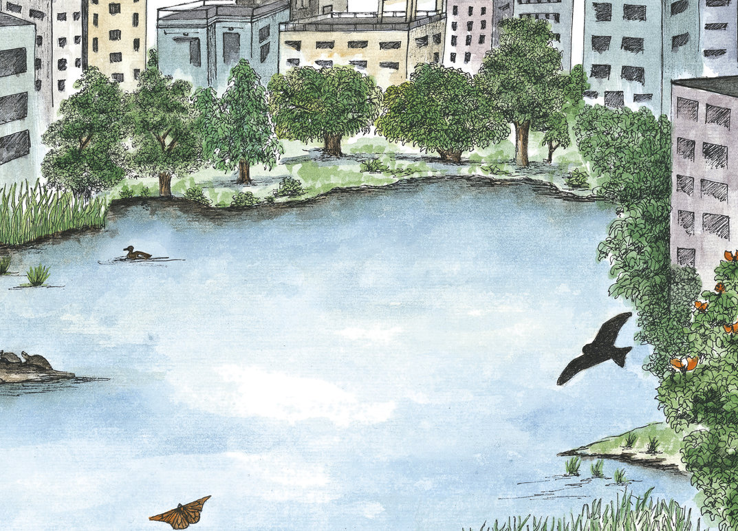 Wildlife In A City Pond