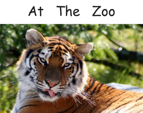 At The Zoo
