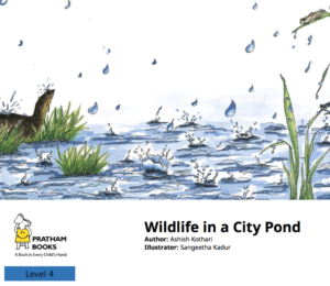 Wildlife In A City Pond